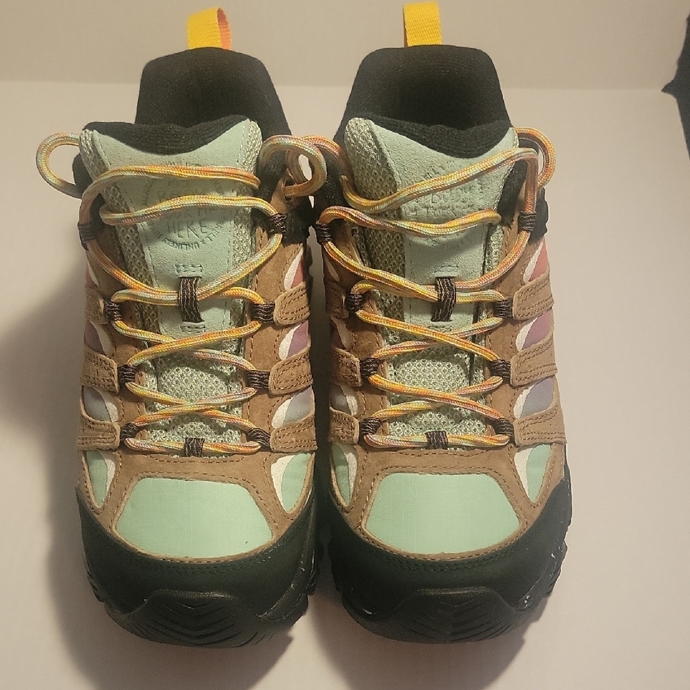 men's Multi-Color Hiking Shoes